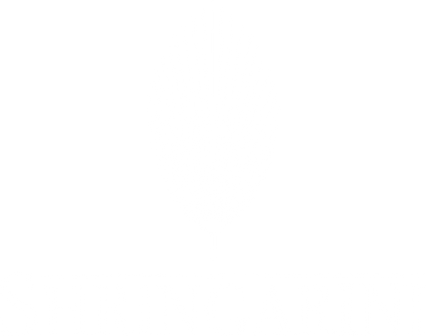 SHRINGARINI.COM